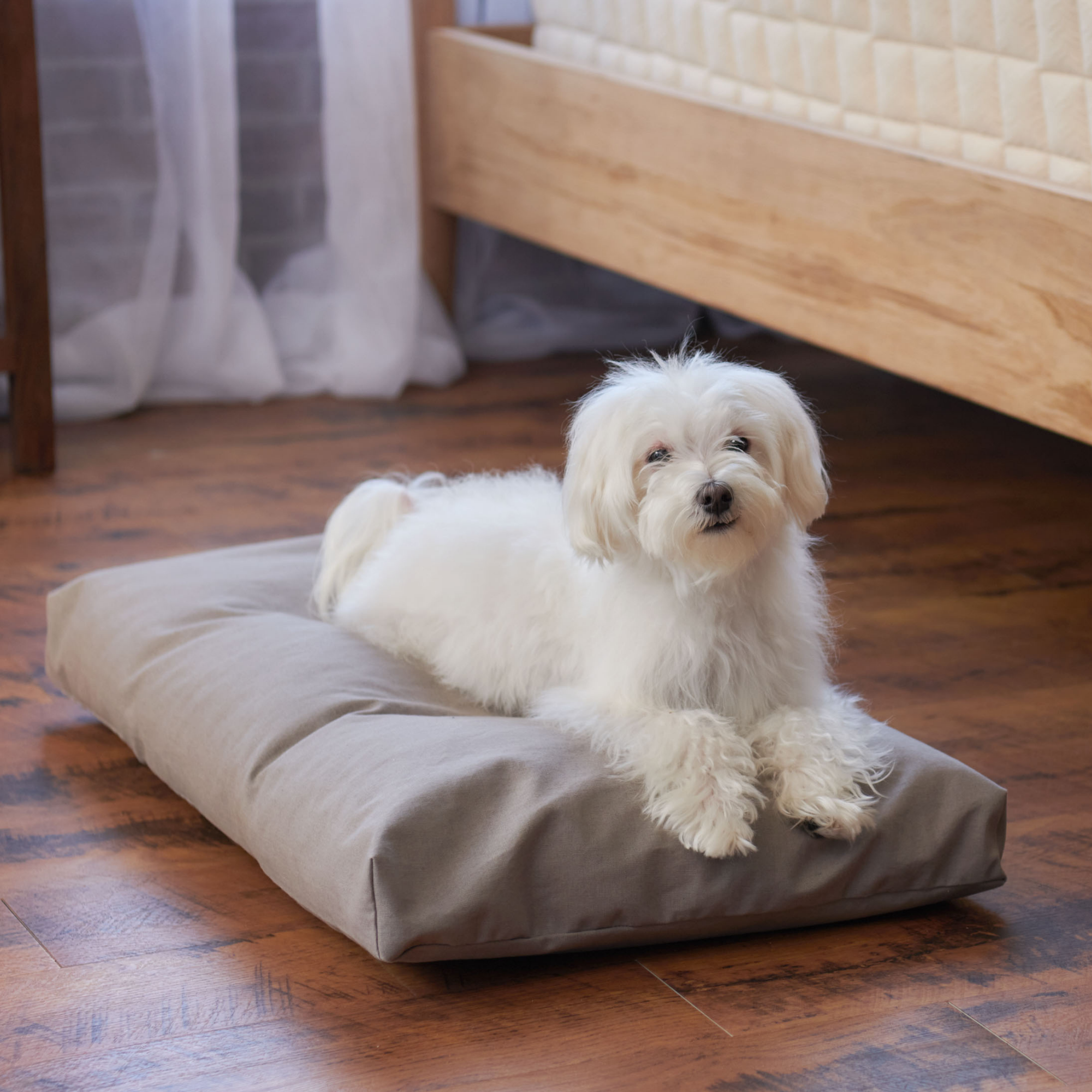 Organic Latex Dog Bed With Waterproof Cover