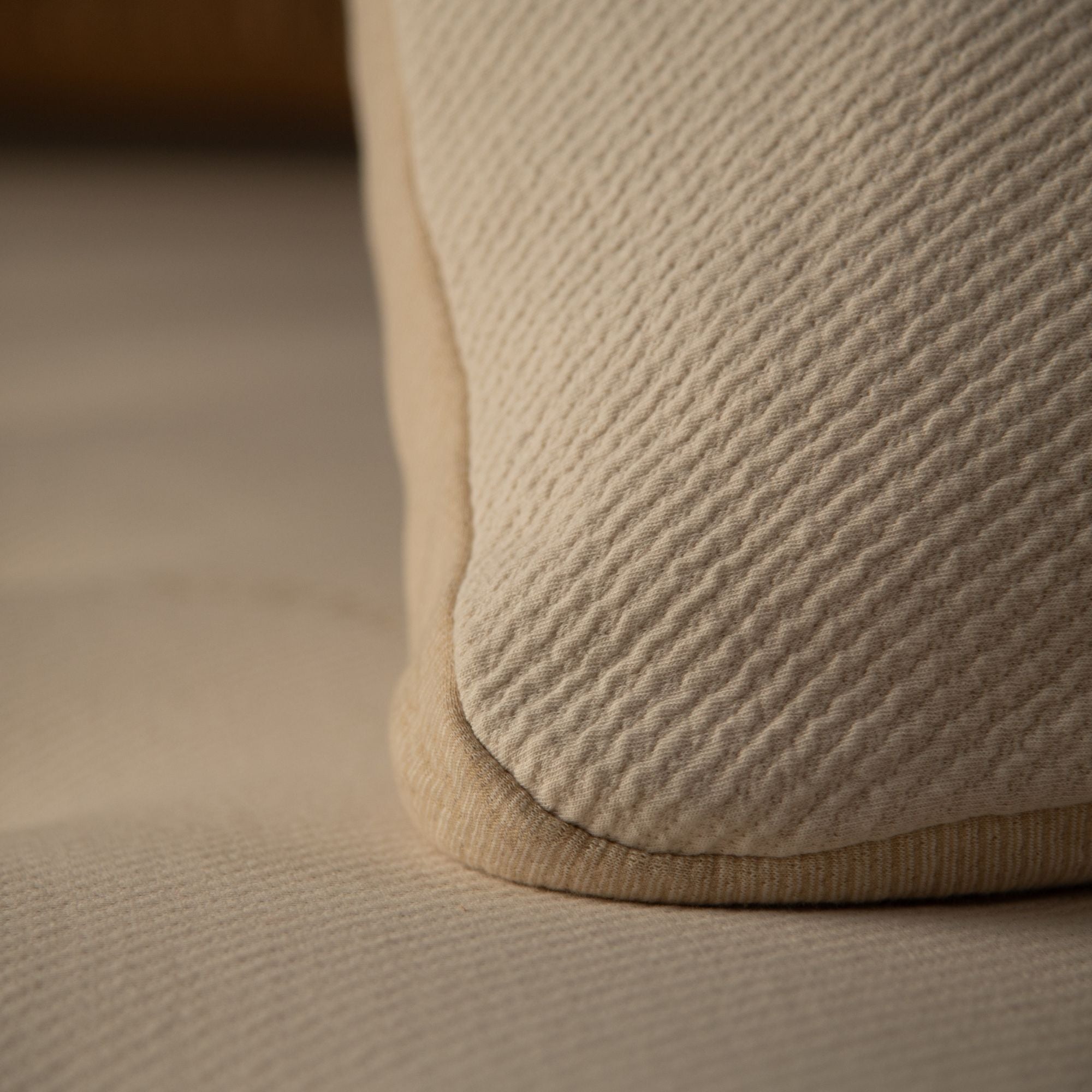 Organic Wool Pillow