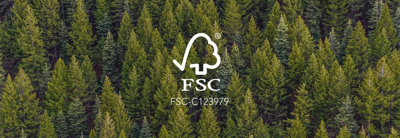 forest with FSC logo of tree and check mark overlaid