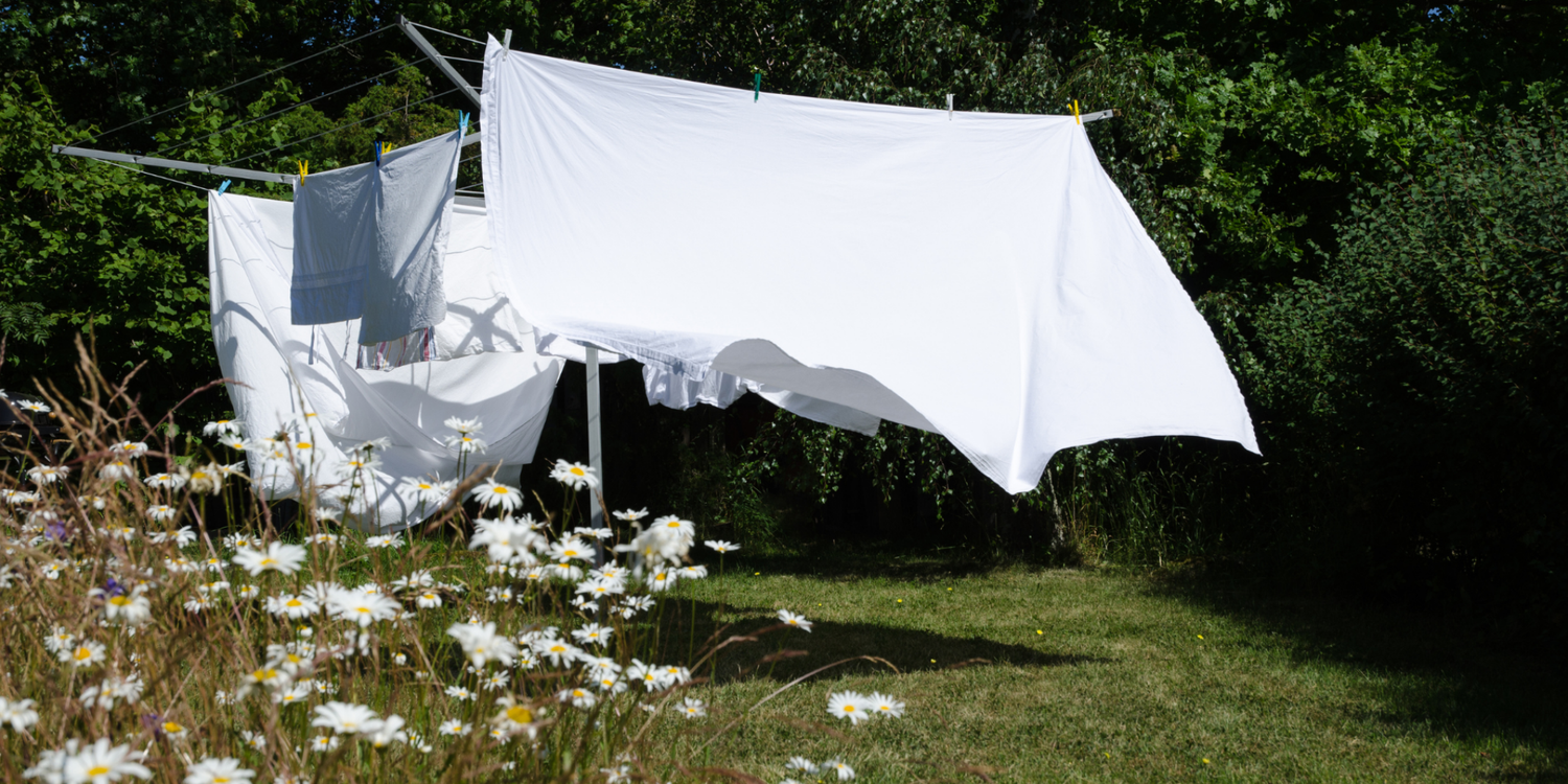 freshly laundered bedsheets drying on a clothesline