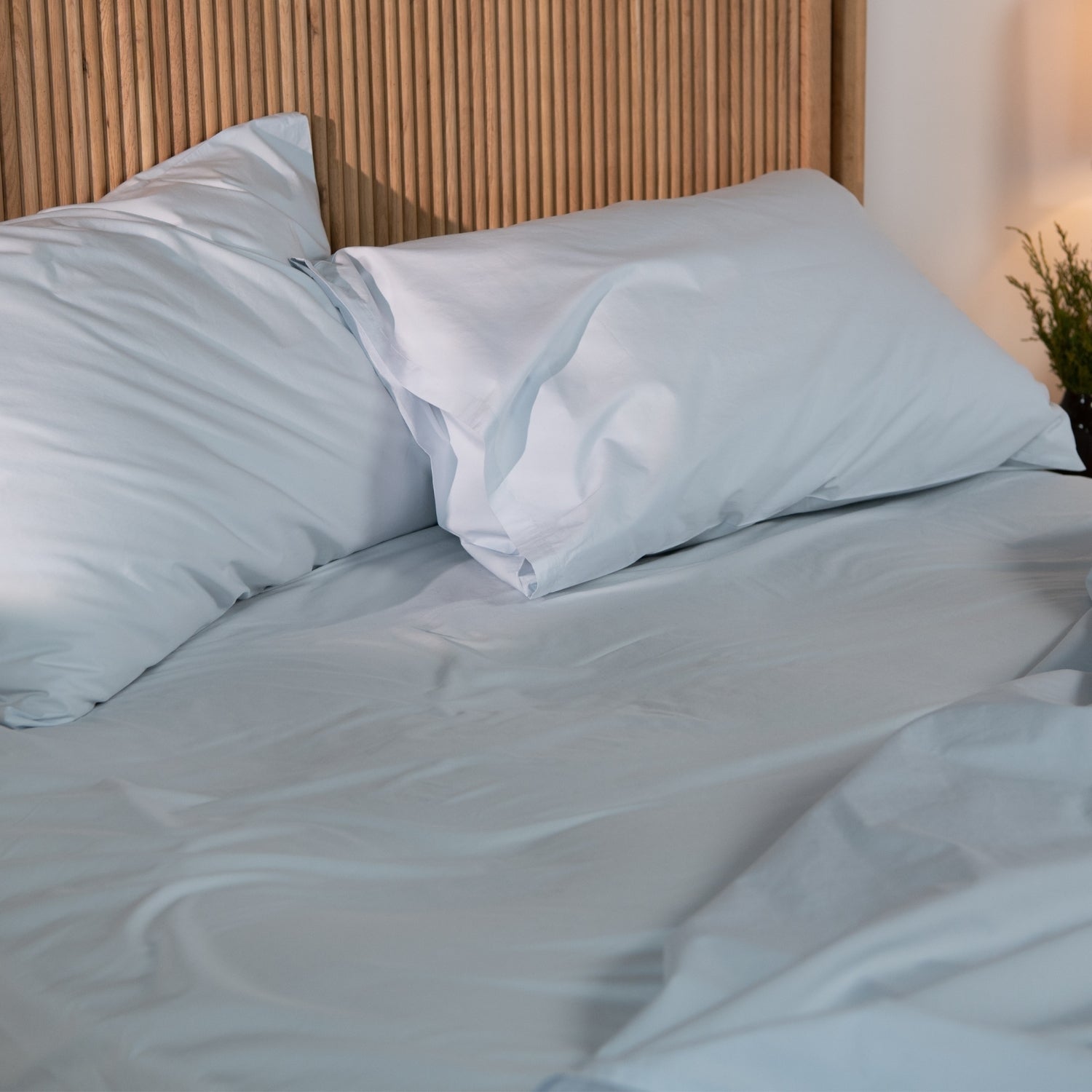 Sheets & Pillowcases