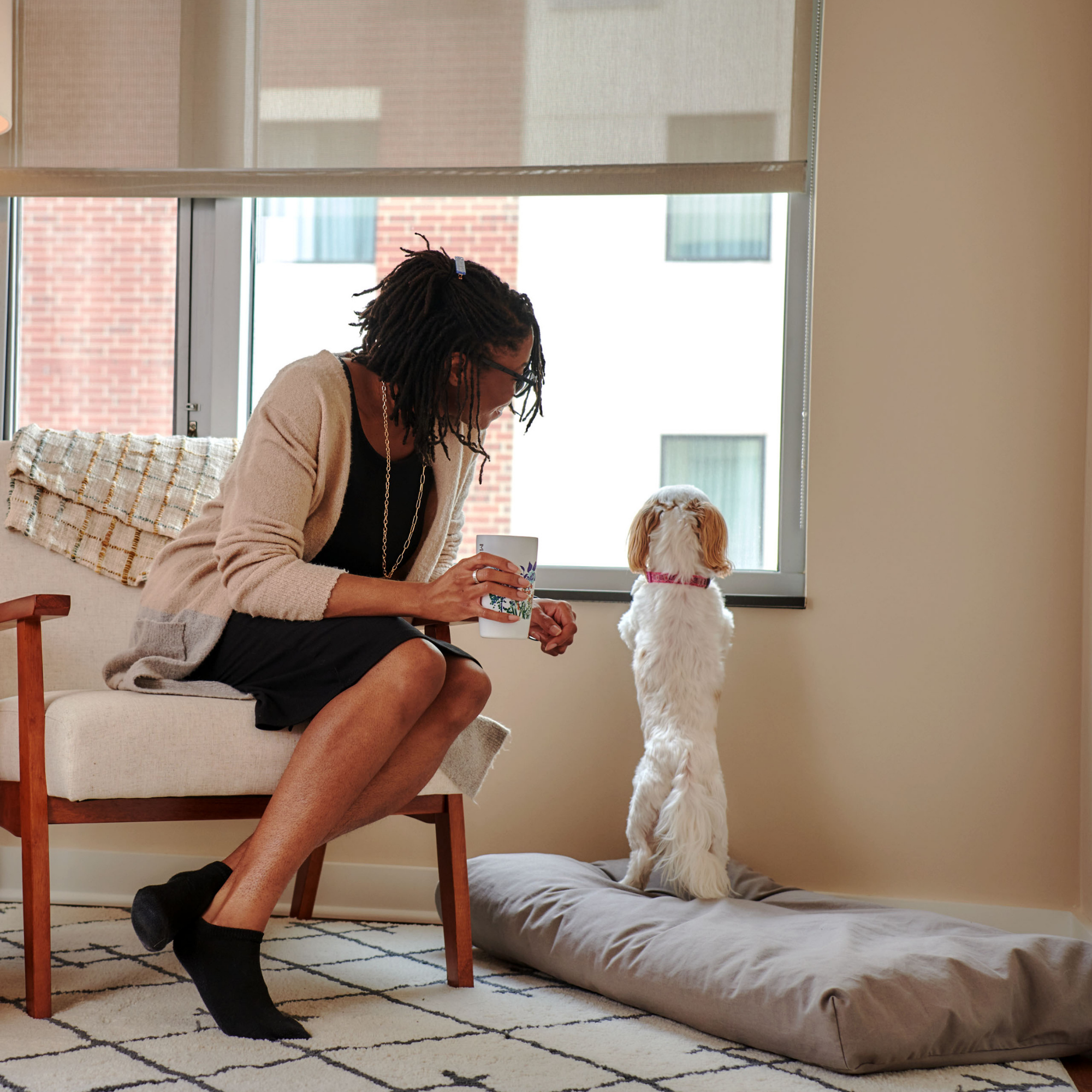 Organic Latex Dog Bed With Waterproof Cover