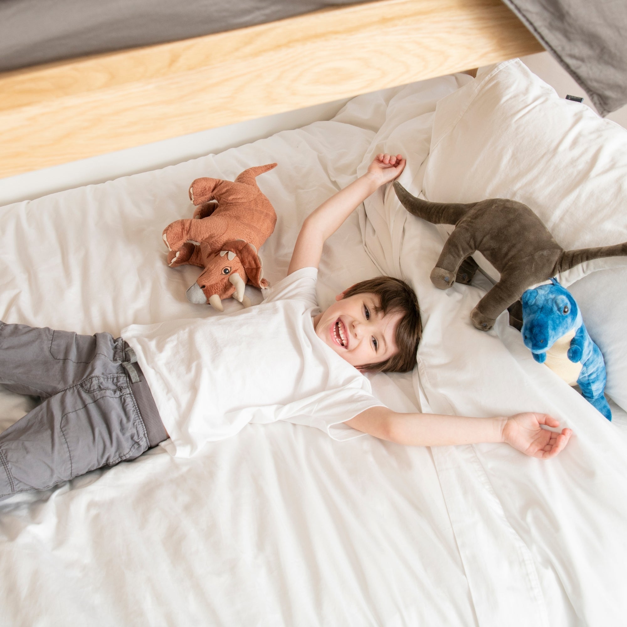 Organic Cotton Sateen Sheets & Pillowcases